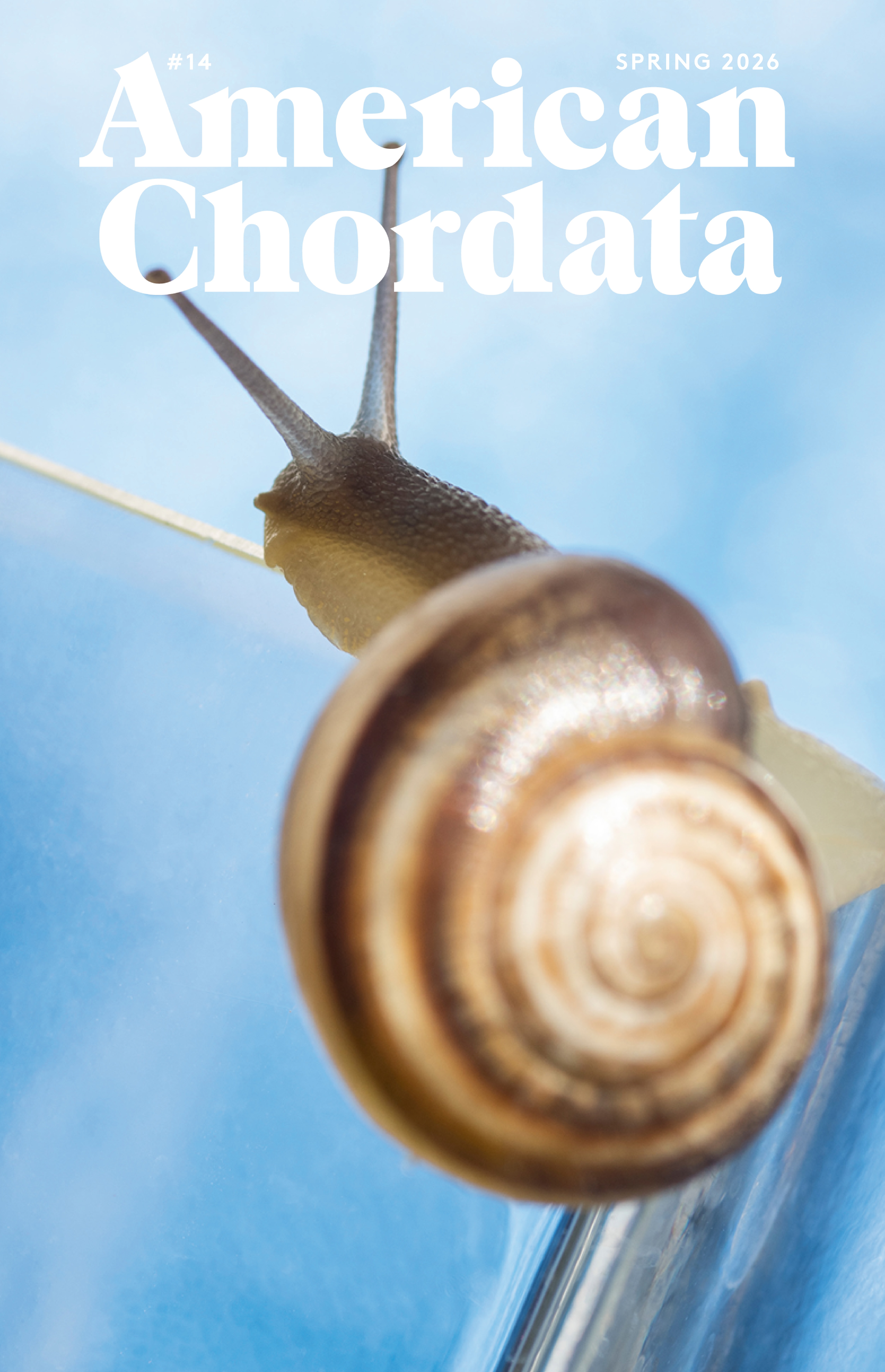 American Chordata cover
