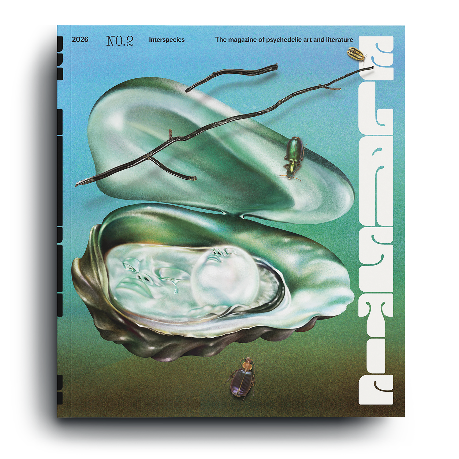 Elastic cover