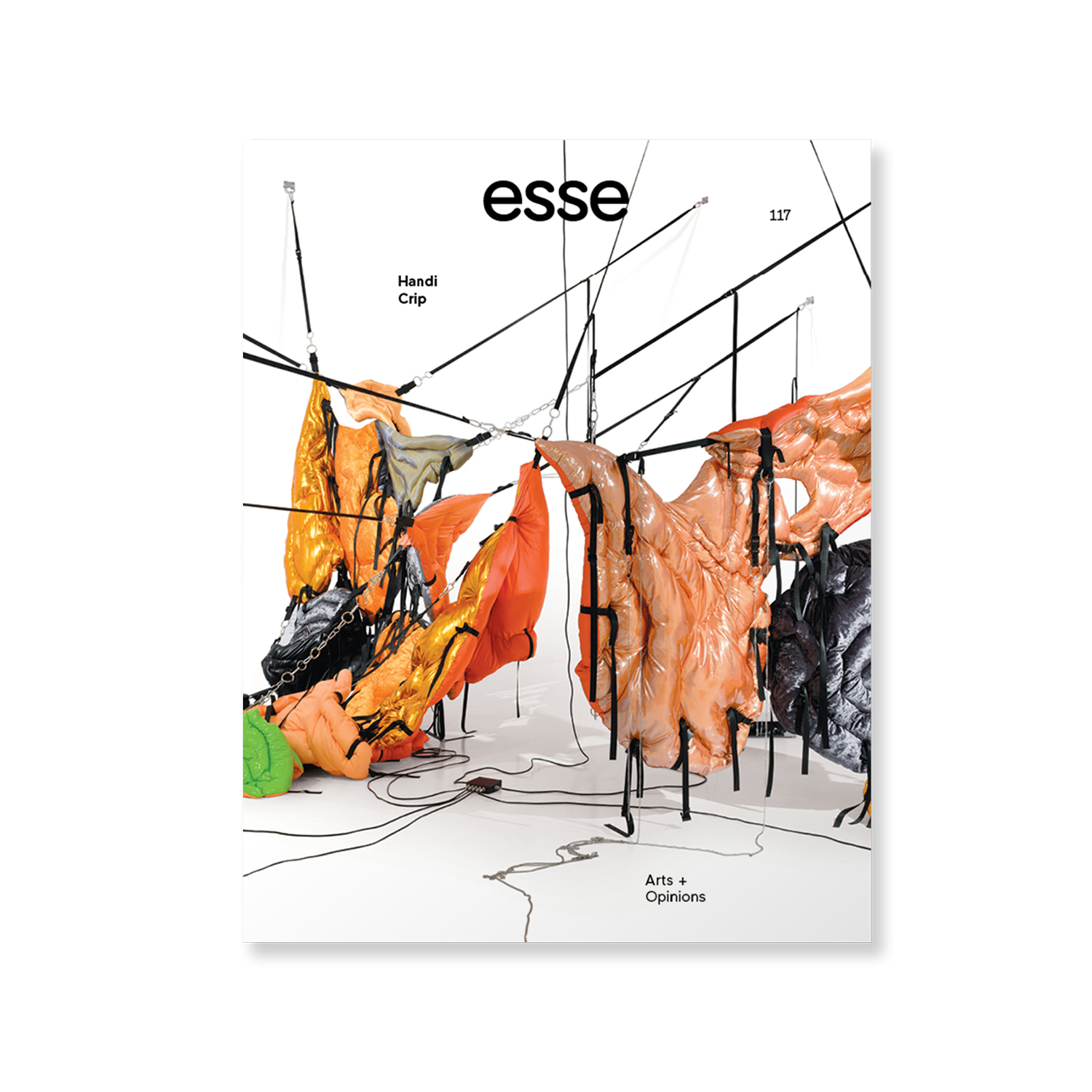 Esse arts + opinions cover