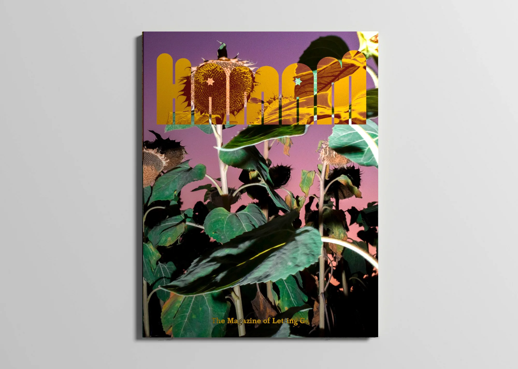 HAMAM cover
