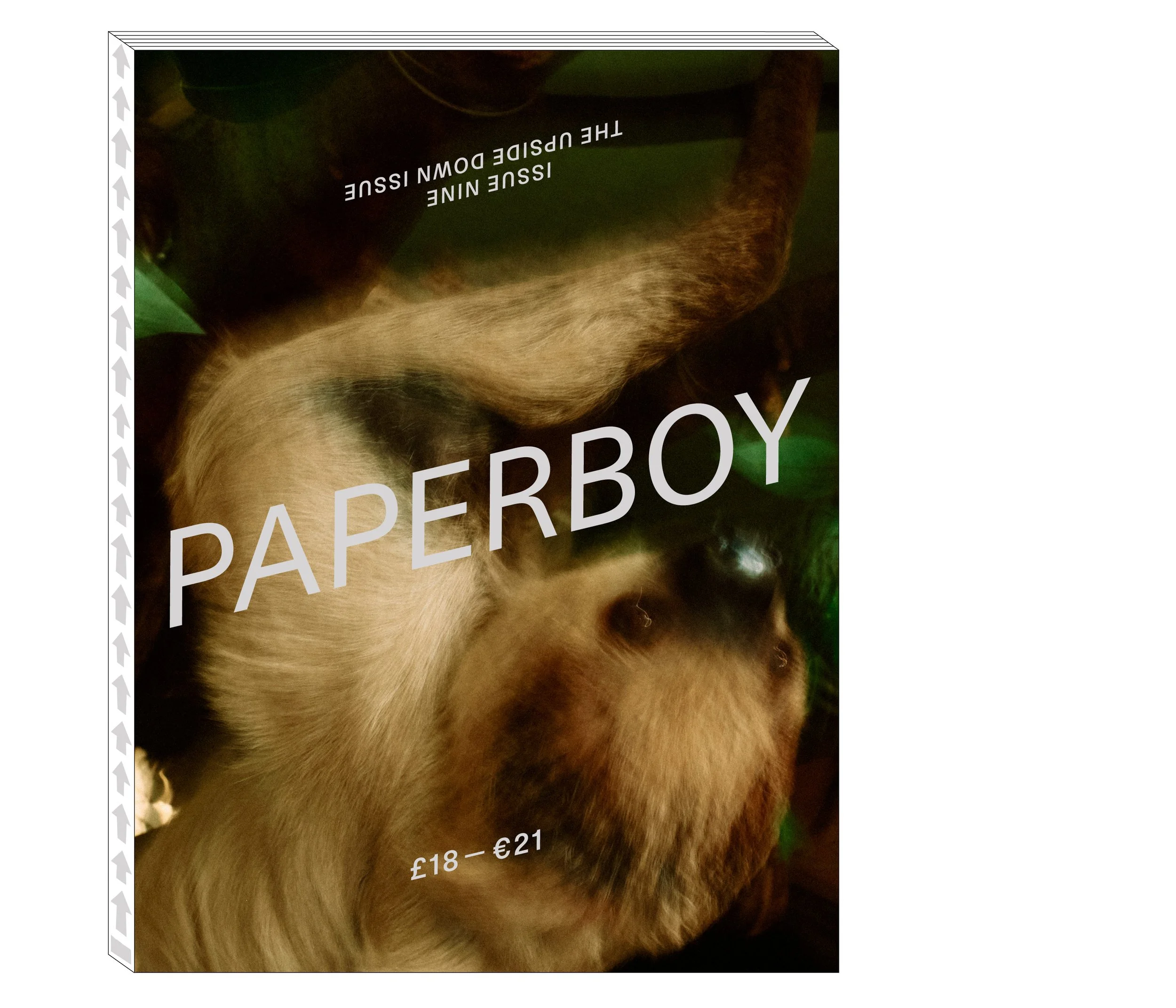 Paperboy cover
