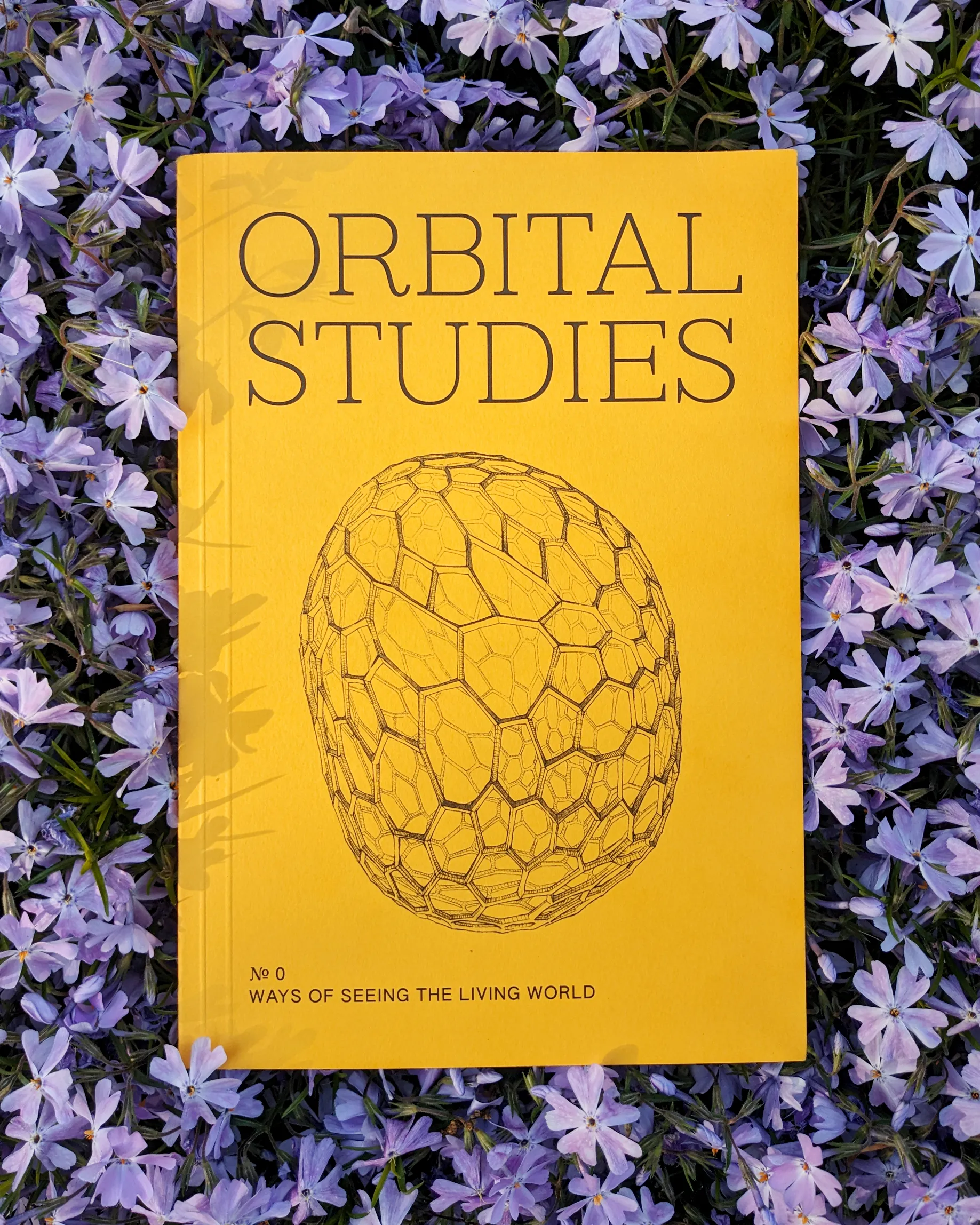 Issue № 0: Ways of Seeing the Living World cover