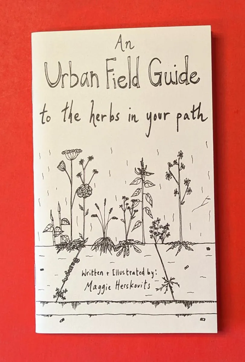 An Urban Field Guide to the Herbs in Your Path cover